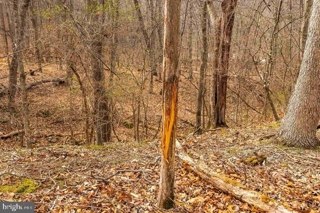 Hopkins Gap Road Fulks Run, VA 22830 - Photo 42 of 75