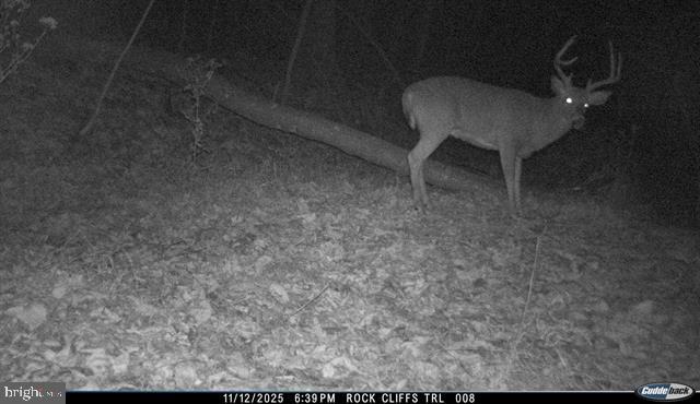 Hopkins Gap Road Fulks Run, VA 22830 - Photo 45 of 75