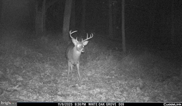 Hopkins Gap Road Fulks Run, VA 22830 - Photo 48 of 75