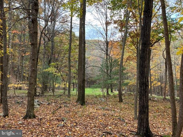 Hopkins Gap Road Fulks Run, VA 22830 - Photo 52 of 75