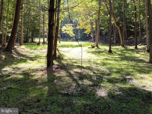 Hopkins Gap Road Fulks Run, VA 22830 - Photo 54 of 75