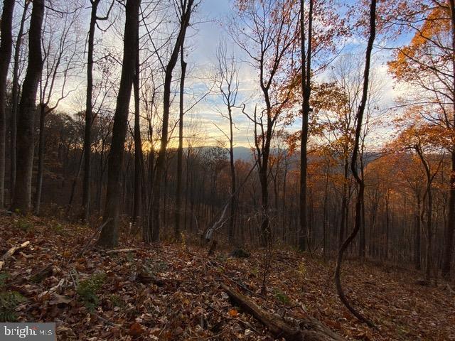 Hopkins Gap Road Fulks Run, VA 22830 - Photo 55 of 75