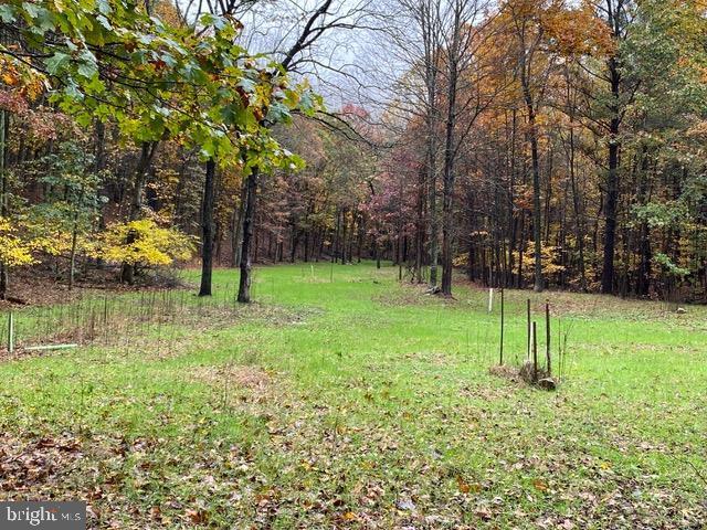 Hopkins Gap Road Fulks Run, VA 22830 - Photo 56 of 75