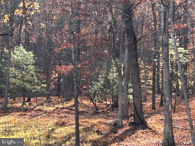 Hopkins Gap Road Fulks Run, VA 22830 - Photo 59 of 75