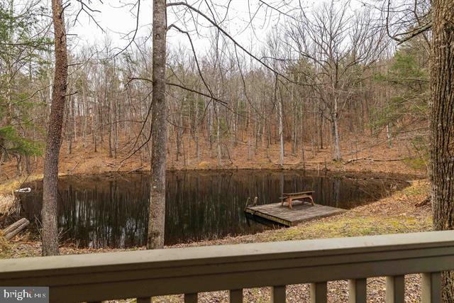 Hopkins Gap Road Fulks Run, VA 22830 - Photo 6 of 75