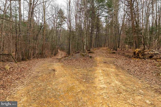 Hopkins Gap Road Fulks Run, VA 22830 - Photo 62 of 75