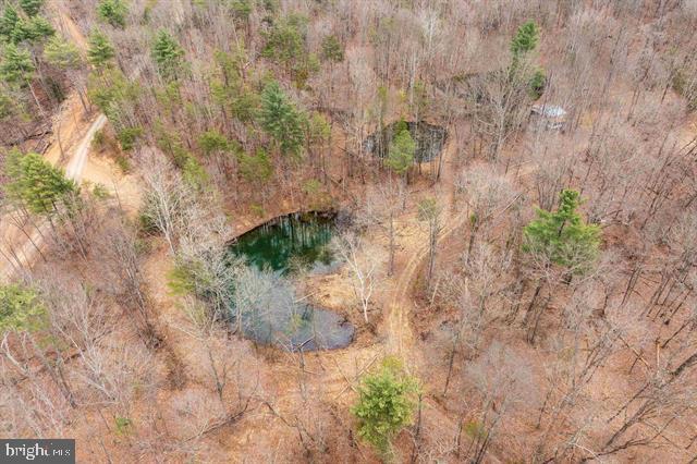 Hopkins Gap Road Fulks Run, VA 22830 - Photo 63 of 75