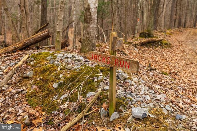 Hopkins Gap Road Fulks Run, VA 22830 - Photo 65 of 75