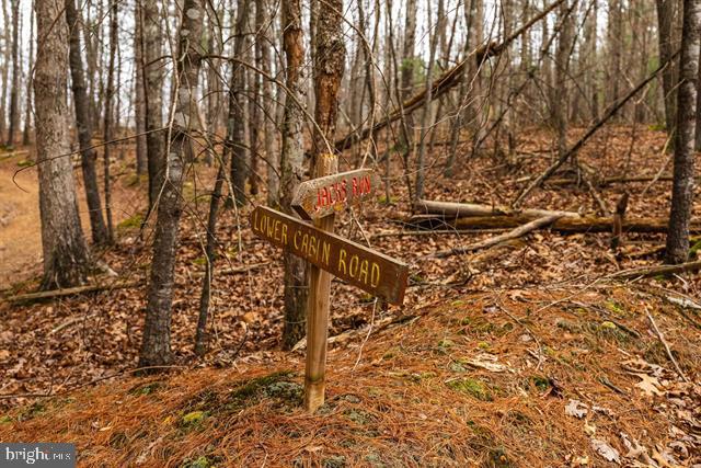 Hopkins Gap Road Fulks Run, VA 22830 - Photo 66 of 75