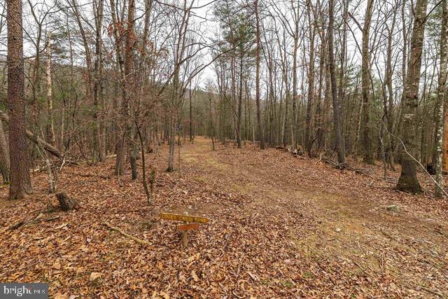 Hopkins Gap Road Fulks Run, VA 22830 - Photo 68 of 75