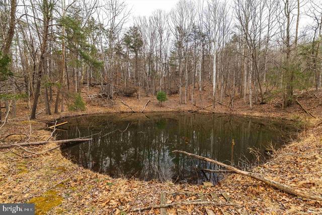 Hopkins Gap Road Fulks Run, VA 22830 - Photo 70 of 75