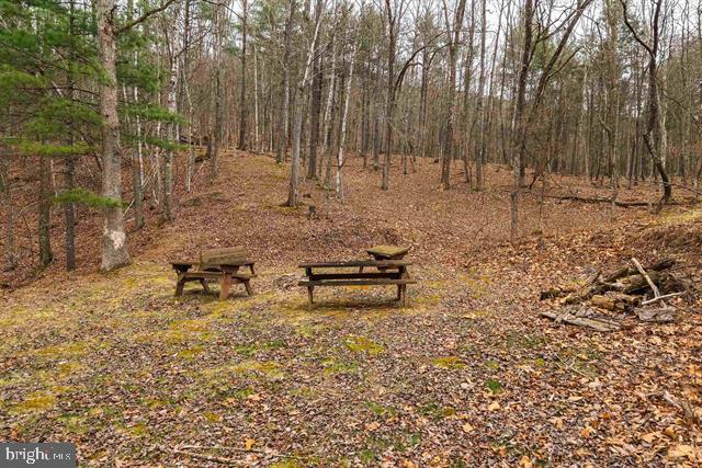 Hopkins Gap Road Fulks Run, VA 22830 - Photo 73 of 75