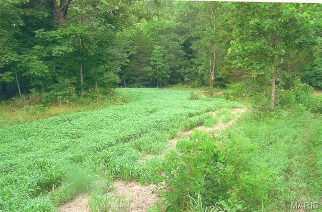 $650,000 | 111 Hwy Bb, Iberia, MO 65486