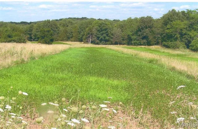 $650,000 | 111 Hwy Bb, Iberia, MO 65486