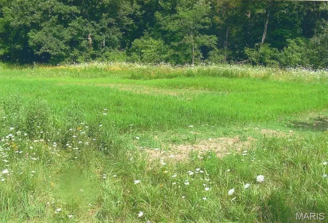 $650,000 | 111 Hwy Bb, Iberia, MO 65486