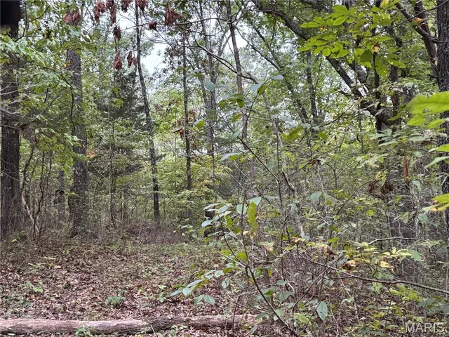 $650,000 | 111 Hwy Bb, Iberia, MO 65486