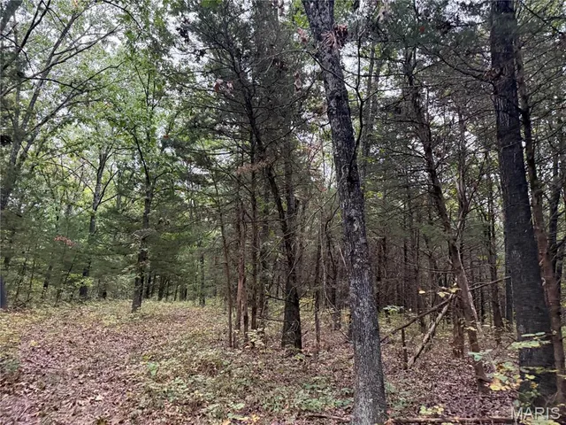 $650,000 | 111 Hwy Bb, Iberia, MO 65486