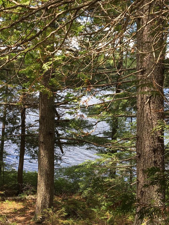Lot 515 Deer Haven Road Wesley, ME 04686 - Photo 10 of 11 66243758_402623153796198_512169409183429