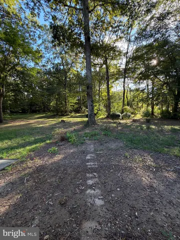 a view of outdoor space with trees