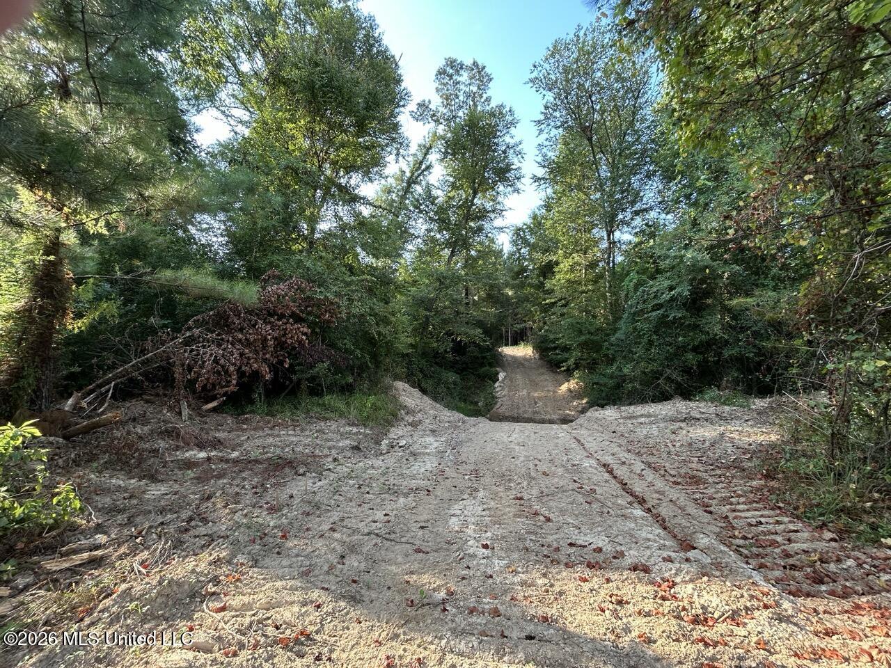 5 Old Oldenburg Road Meadville, MS 39653 - Photo 27 of 39 IMG_5580 Large