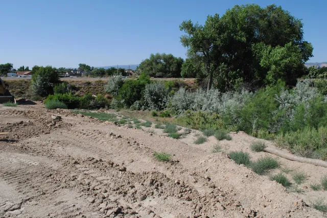 a view of a dry yard with lots of trees