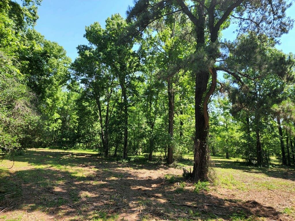 15546 Sour Lake Road Beaumont, TX 77713 - Photo 21 of 35
