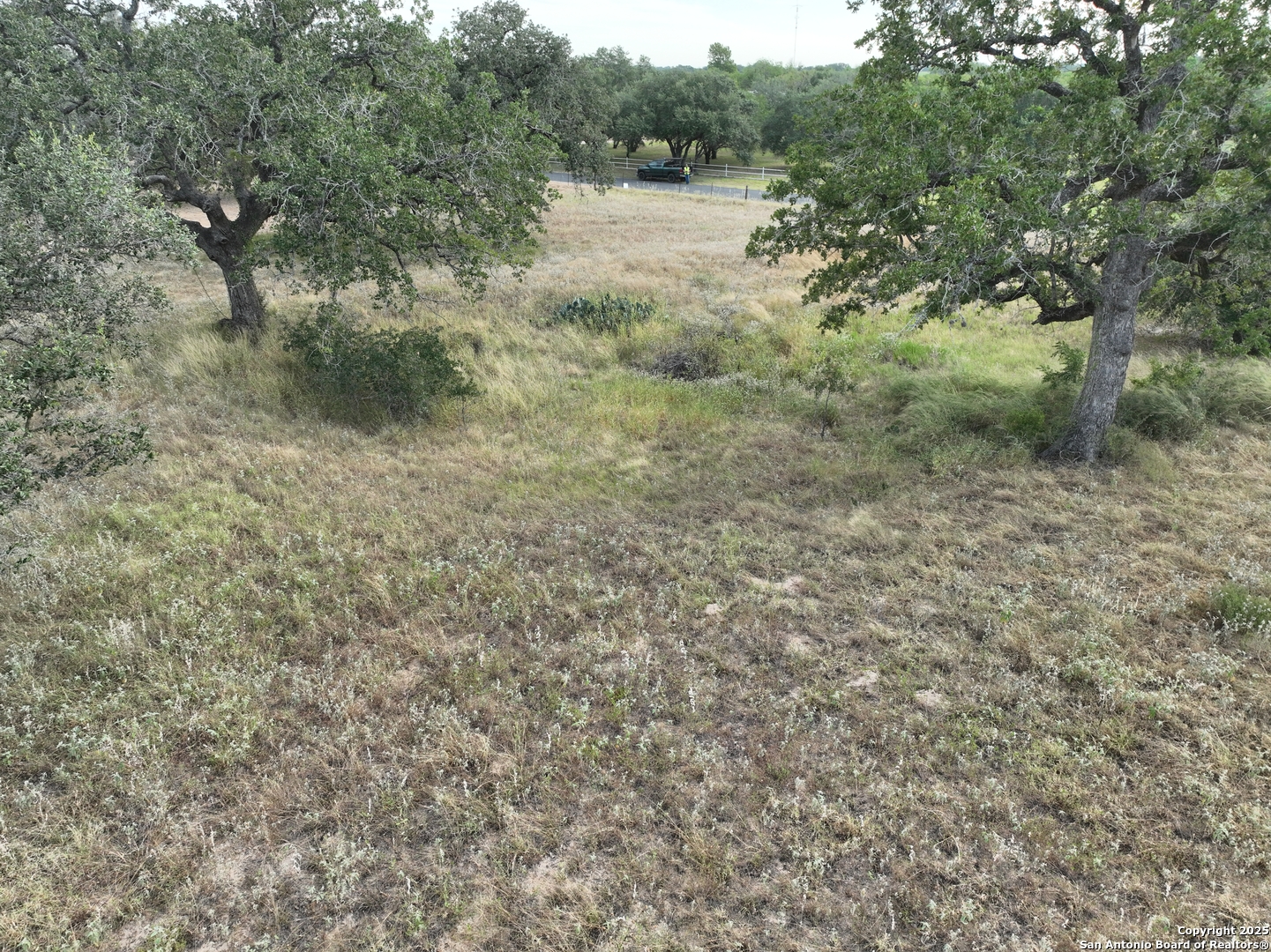 Tbd Broom Road Pleasanton, TX 78064 - Photo 2 of 10 a view of a forest with trees in the background