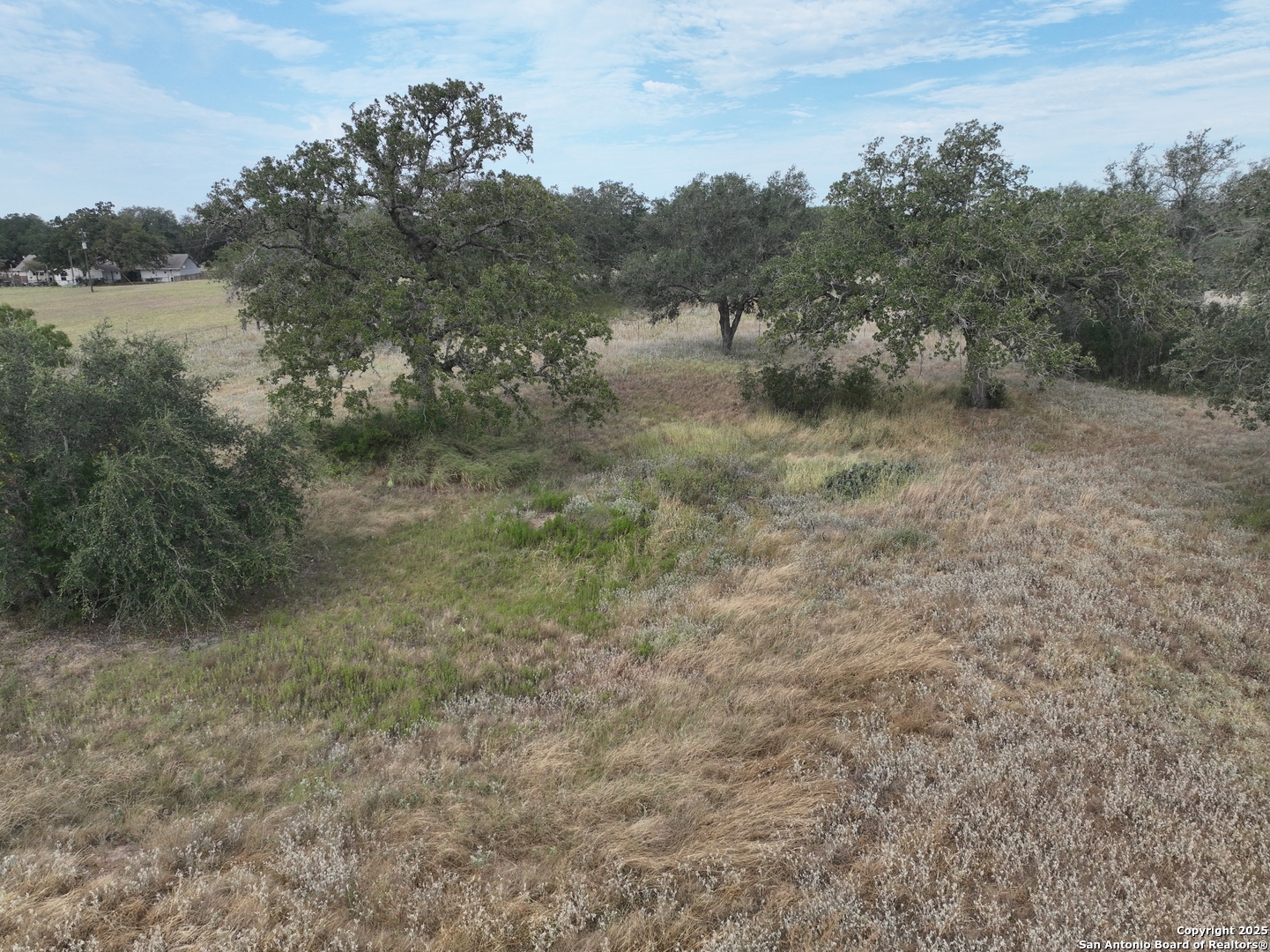 Tbd Broom Road Pleasanton, TX 78064 - Photo 3 of 10 a view of a field with trees in the background