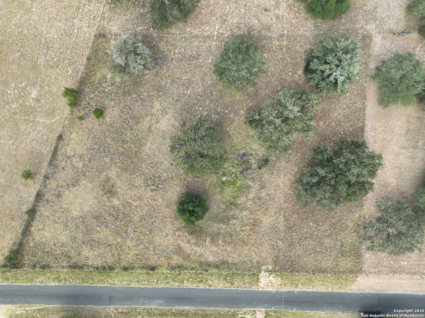 Tbd Broom Road Pleasanton, TX 78064 - Photo 4 of 10 a view of a yard