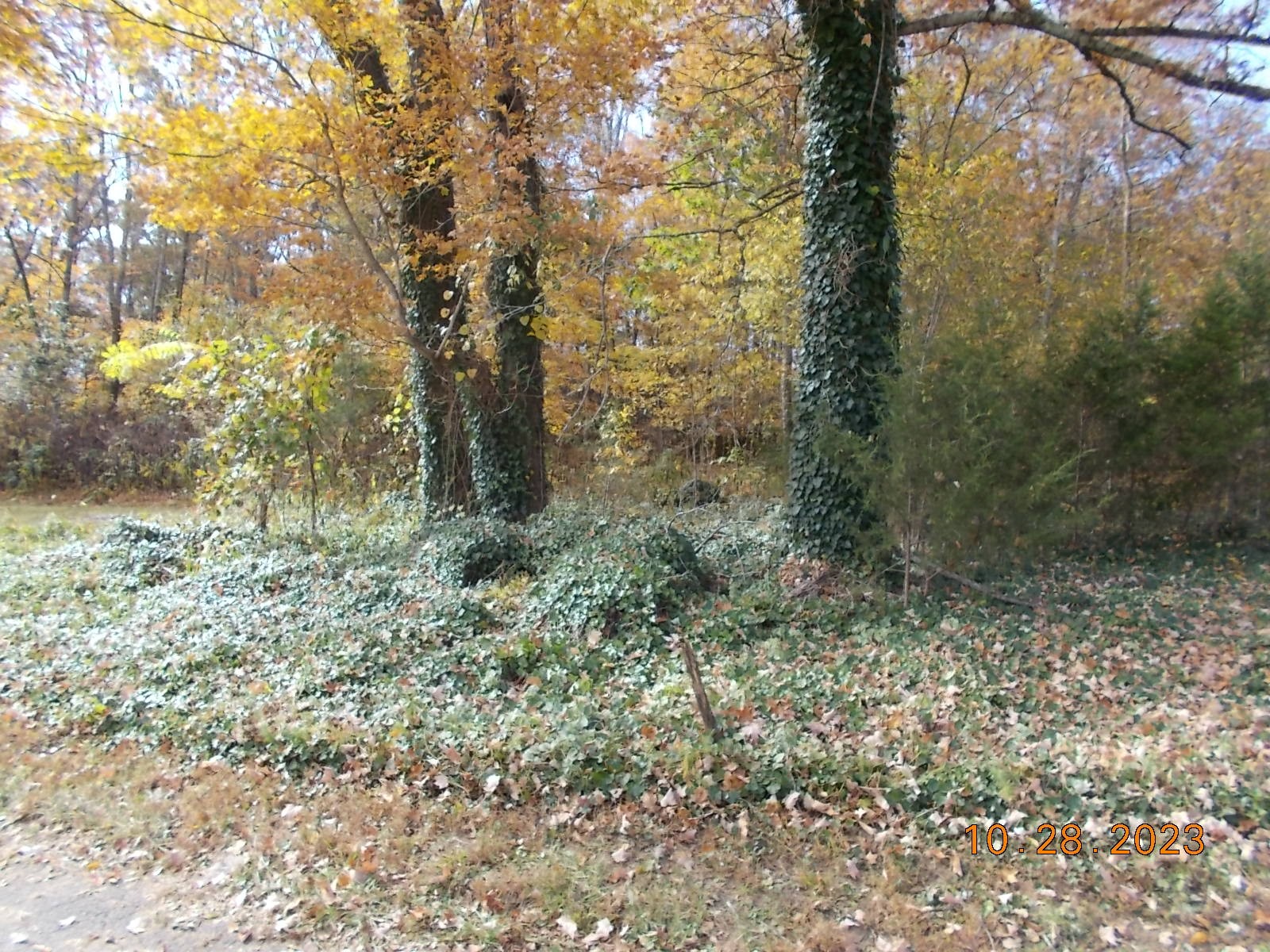 260 Round Top Road Alexandria, TN 37012 - Photo 52 of 65