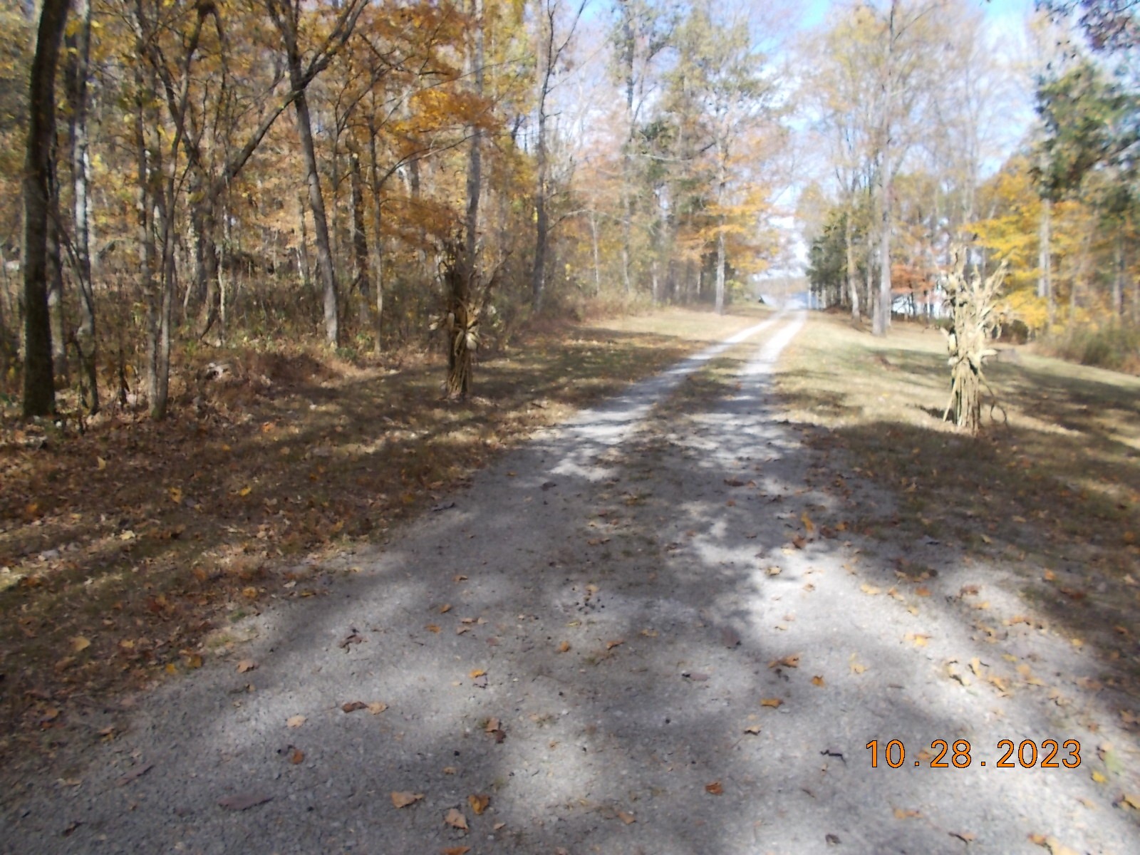 260 Round Top Road Alexandria, TN 37012 - Photo 53 of 65 a view of dirt yard with a large tree