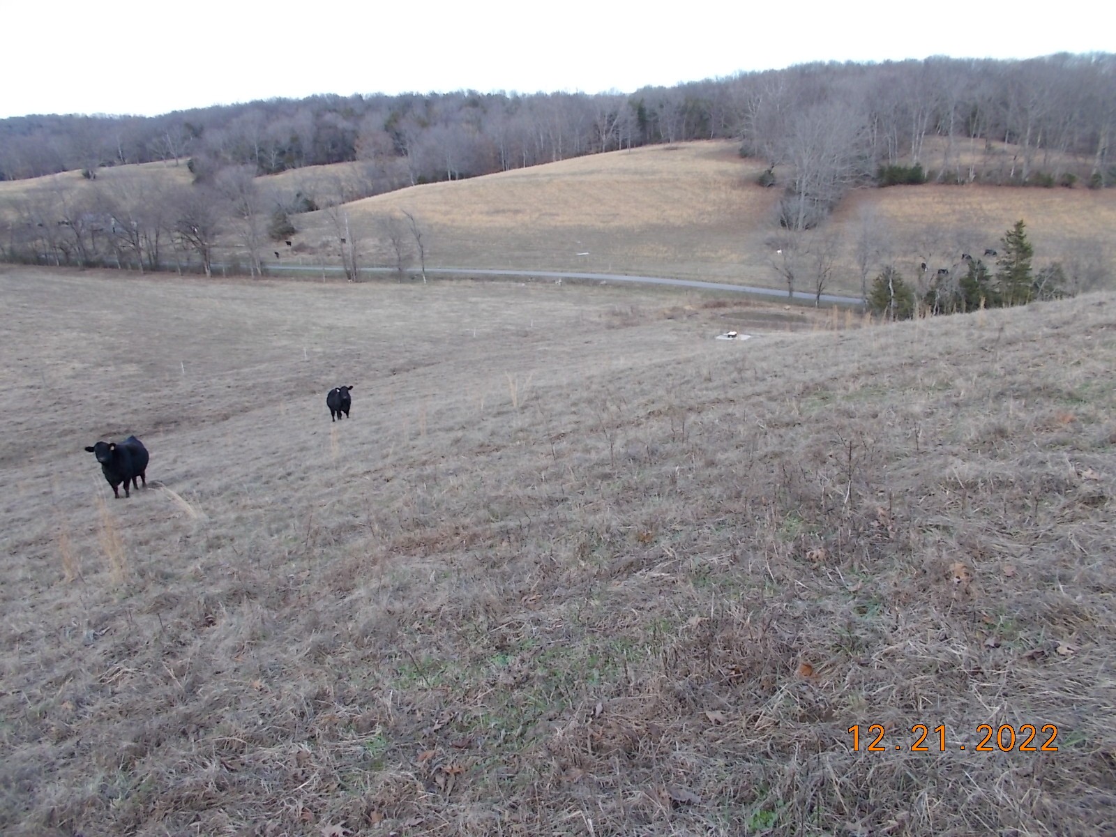 260 Round Top Road Alexandria, TN 37012 - Photo 57 of 65