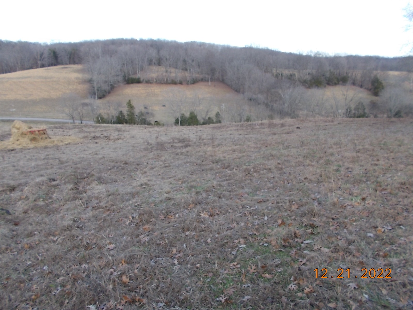 260 Round Top Road Alexandria, TN 37012 - Photo 59 of 65 a view of a dry field