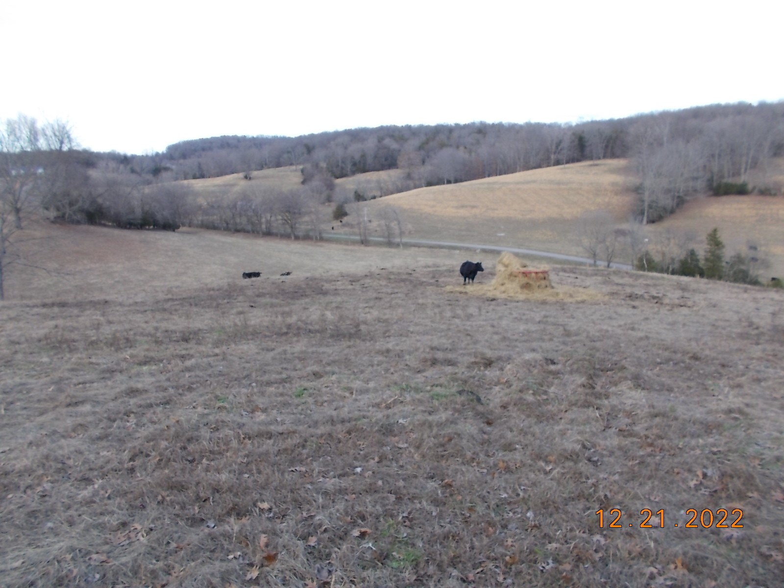 260 Round Top Road Alexandria, TN 37012 - Photo 60 of 65 a view of a dry field with trees in the background