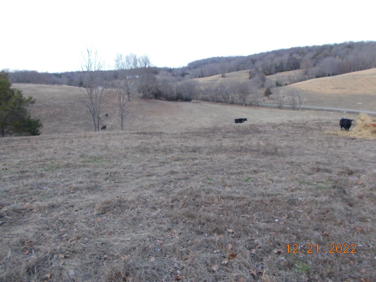 260 Round Top Road Alexandria, TN 37012 - Photo 61 of 65 a view of a dry field with trees in the background