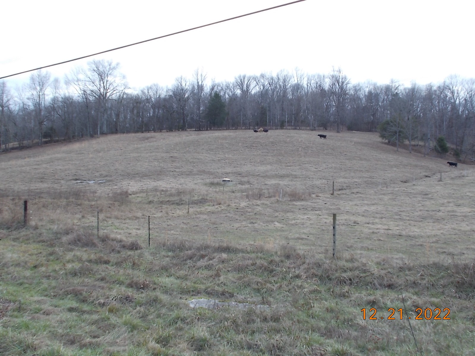 260 Round Top Road Alexandria, TN 37012 - Photo 64 of 65 a view of a dry yard with wooden fence