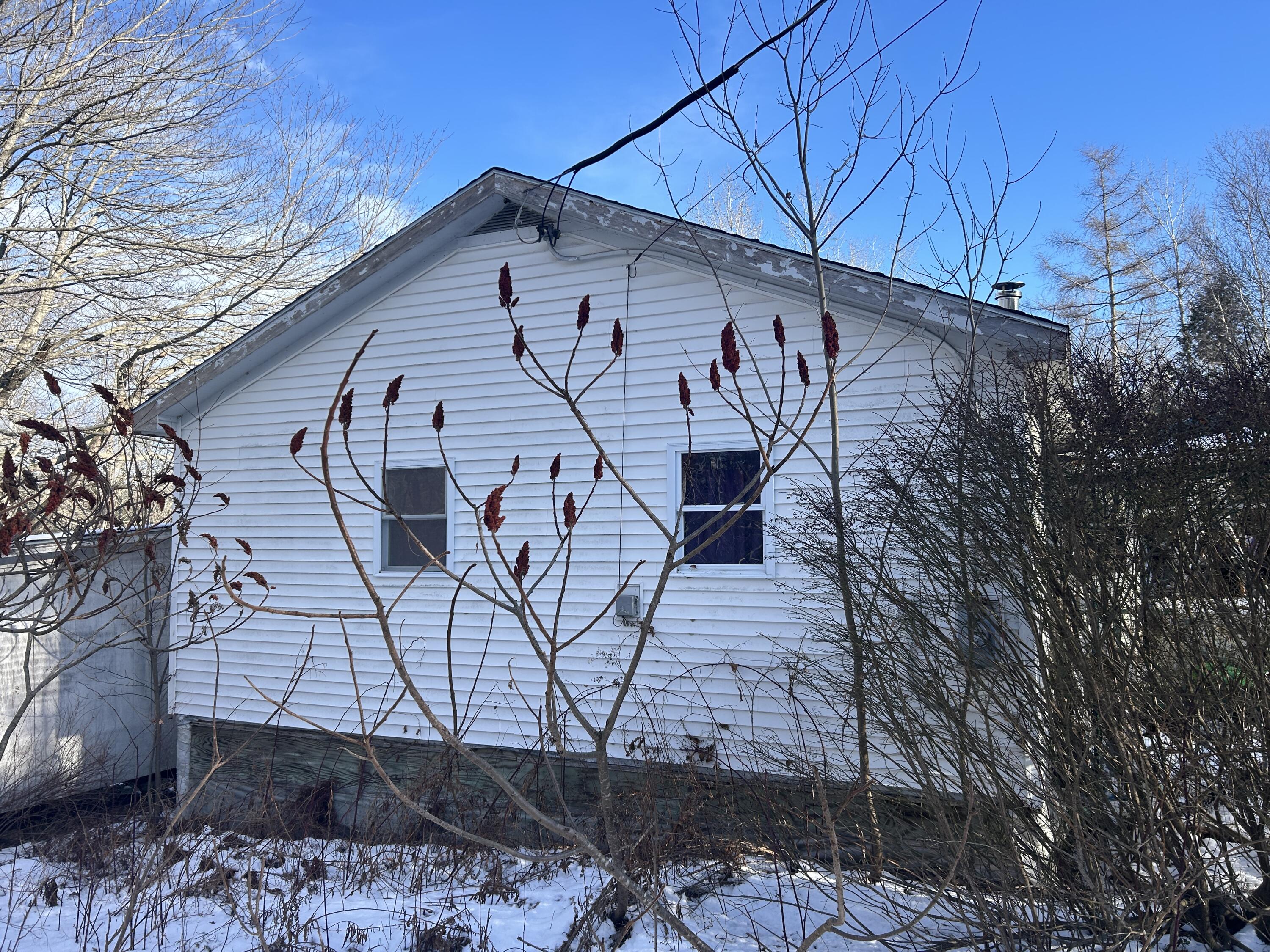 741 Toddy Pond Road Surry, ME 04684 - Photo 3 of 22 IMG_1070