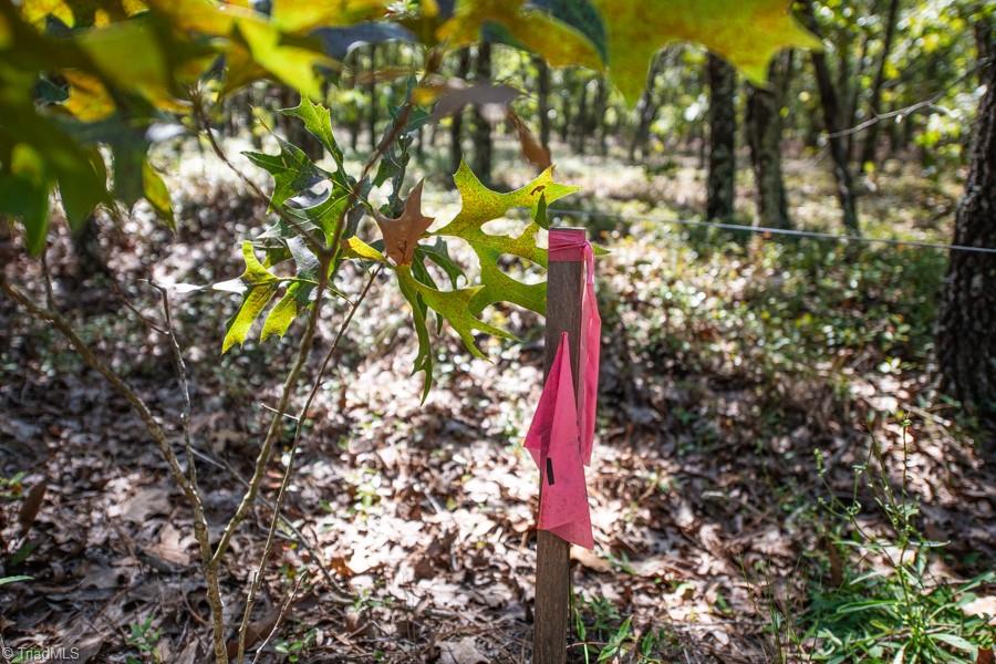 Tbd Loch Laurin Lane Rockingham, NC 28379 - Photo 15 of 16