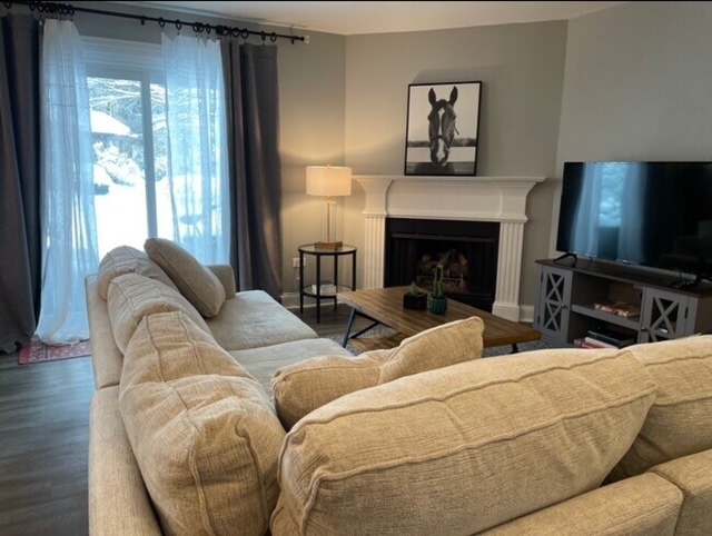 35 Foxcroft Road, Unit 103 Naperville, IL 60565 - Photo 4 of 11 a living room with furniture a fireplace and a flat screen tv