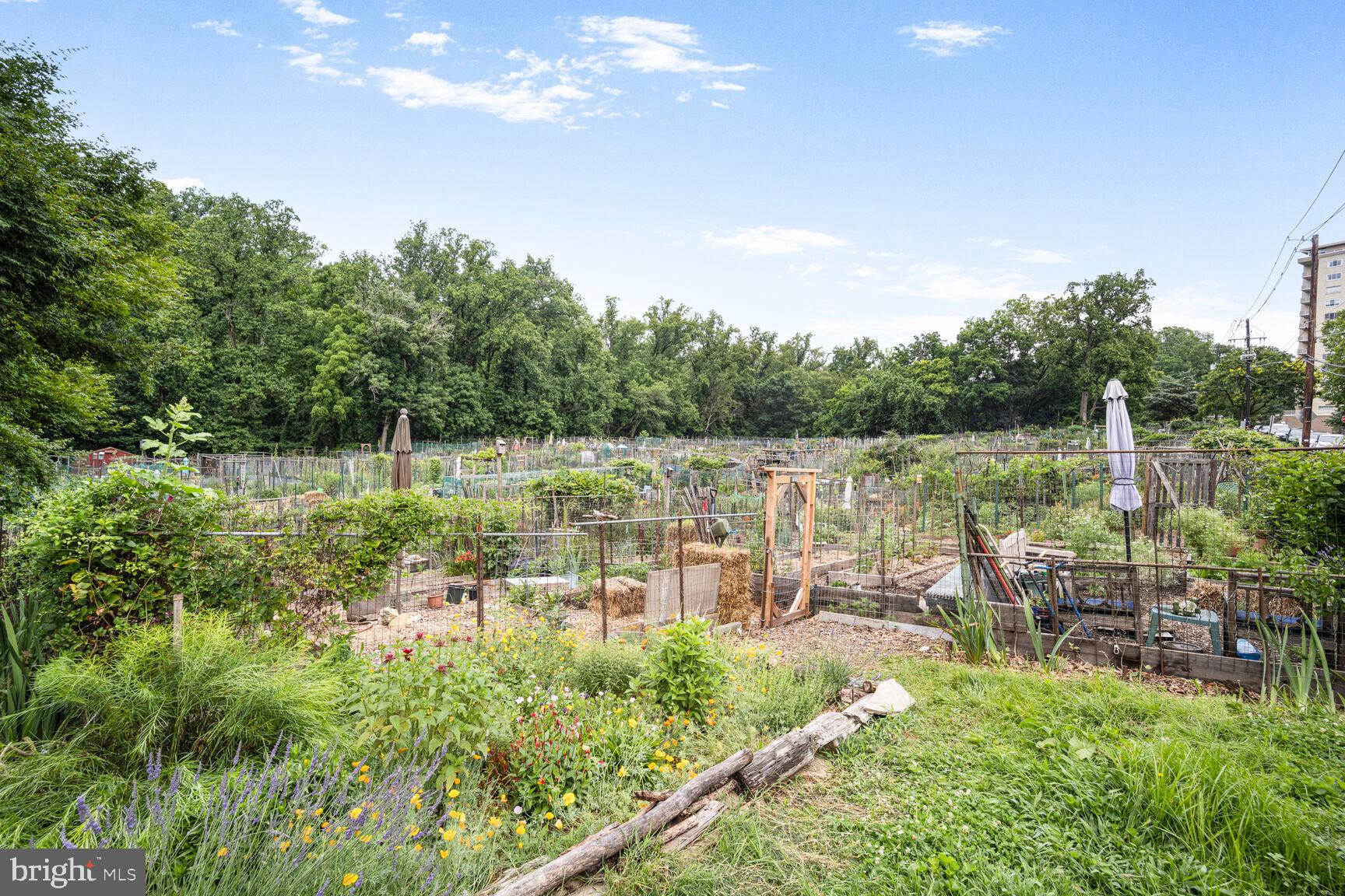 4114 Davis Place Northwest, Unit 311 Washington, DC 20007 - Photo 30 of 37 a view of a lake with outdoor space