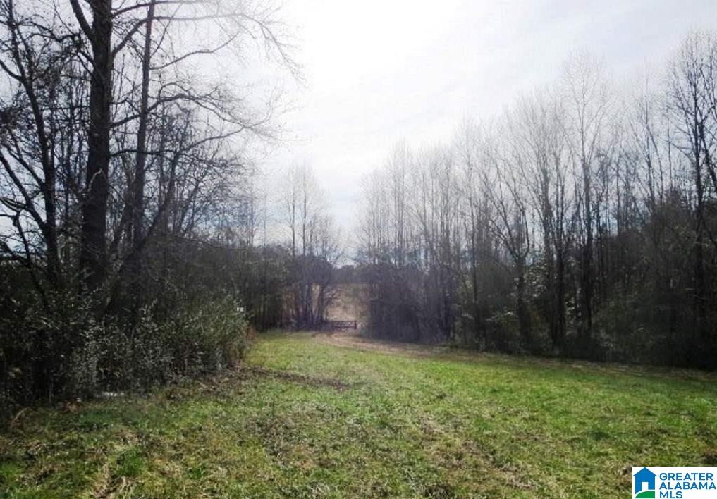 853 Bailey Road Cragford, AL 36255 - Photo 27 of 39