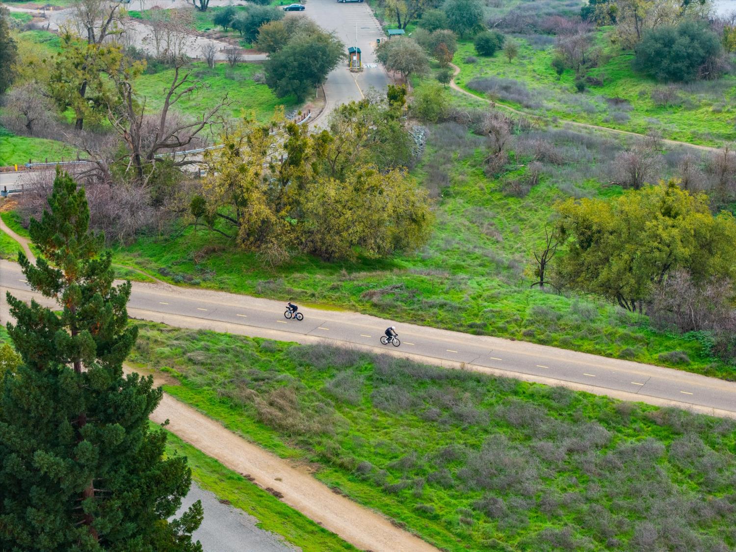 4808 Sherlock Way Carmichael, CA 95608 - Photo 43 of 45 a view of a yard with an outdoor space