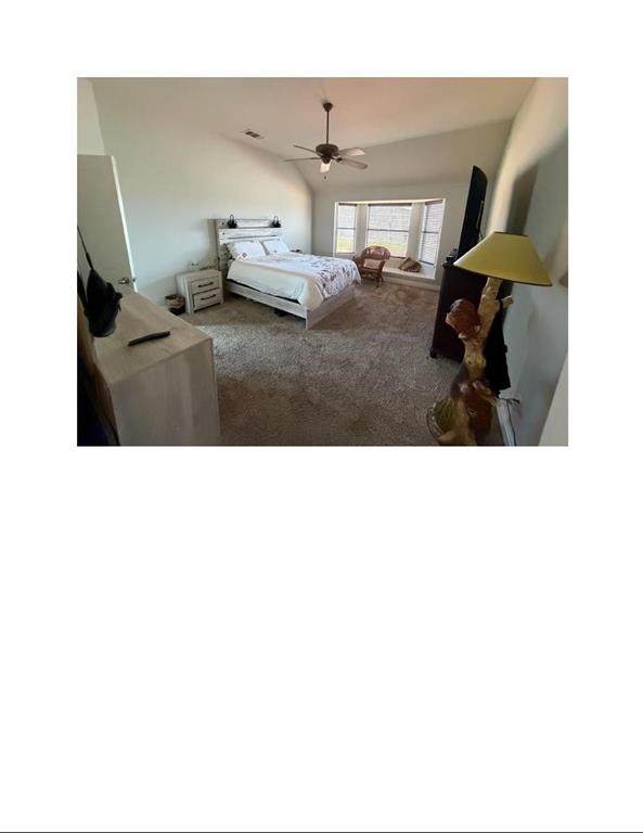 3965 Hunter Peak Road Fort Worth, TX 76262 - Photo 17 of 19