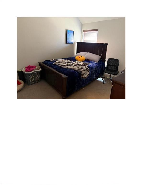 3965 Hunter Peak Road Fort Worth, TX 76262 - Photo 19 of 19