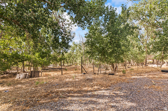460 Omni Point Road Central Valley, UT 84754 - Photo 78 of 101 Gravel ground cover extending towards a wooded area with mature deciduous trees