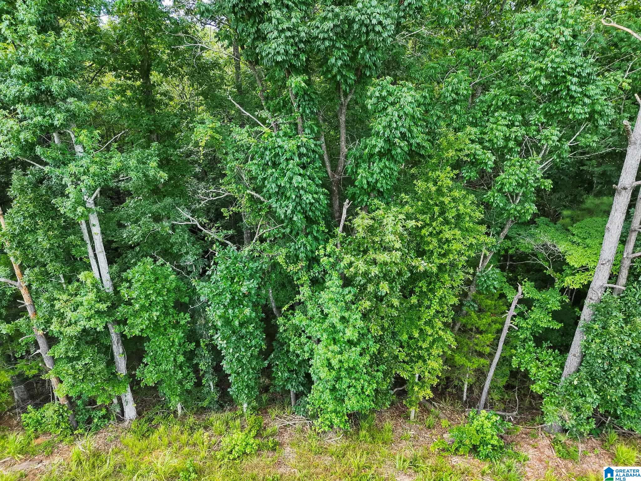 520 County Road, Unit 20 Verbena, AL 36091 - Photo 15 of 19