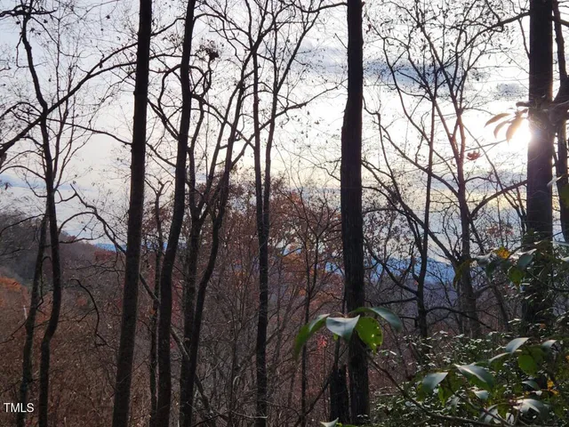 a street sign that is in a forest