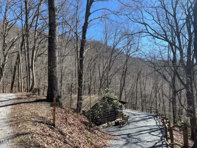 a view of a tree with yard