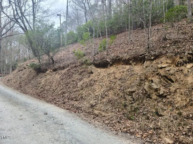 a view of a forest with trees
