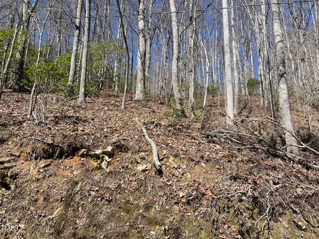 a view of outdoor space with lots of trees